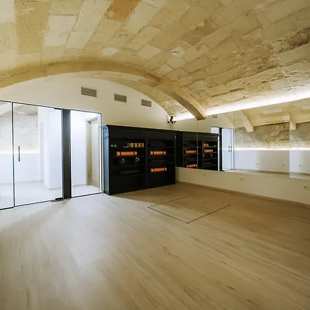 Artemisia Ciutadella (Menorca)